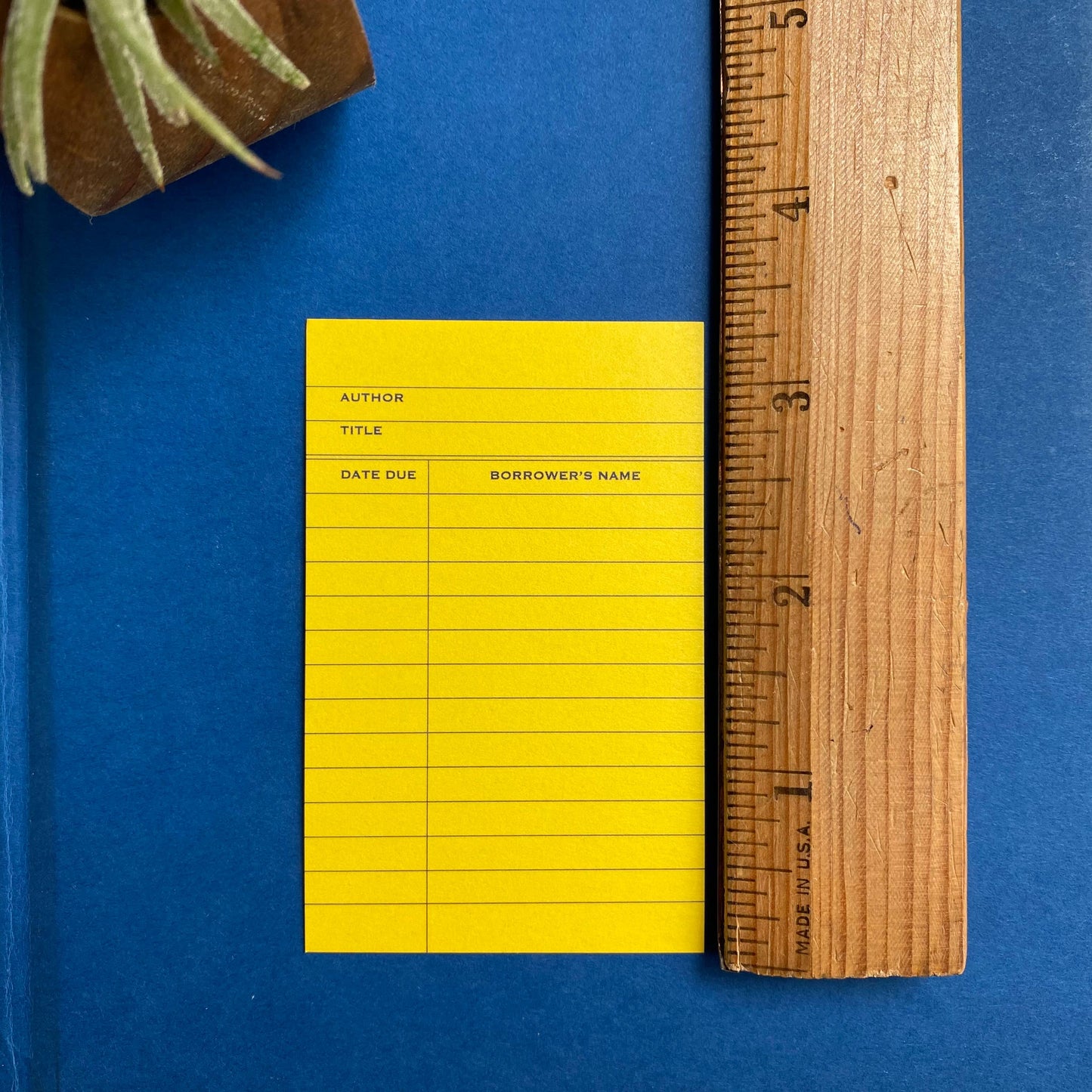 Yellow Library Card Minis™ - Flat Notecard Set of 60