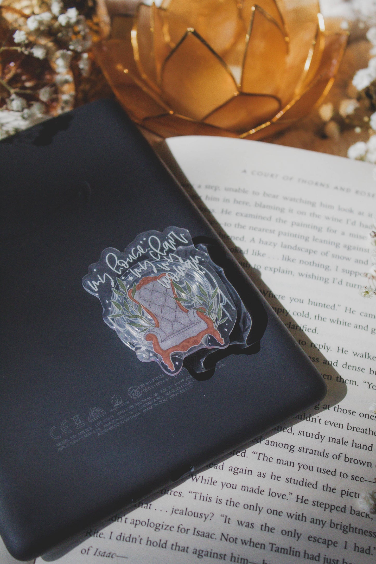 Fourth Wing Xaden's Throne Kindle / Phone Grip