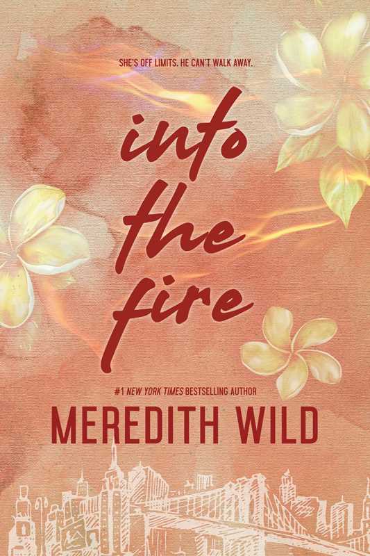 Into the Fire by Meredith Wild