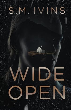 Wide Open: A Dark Romance Novella