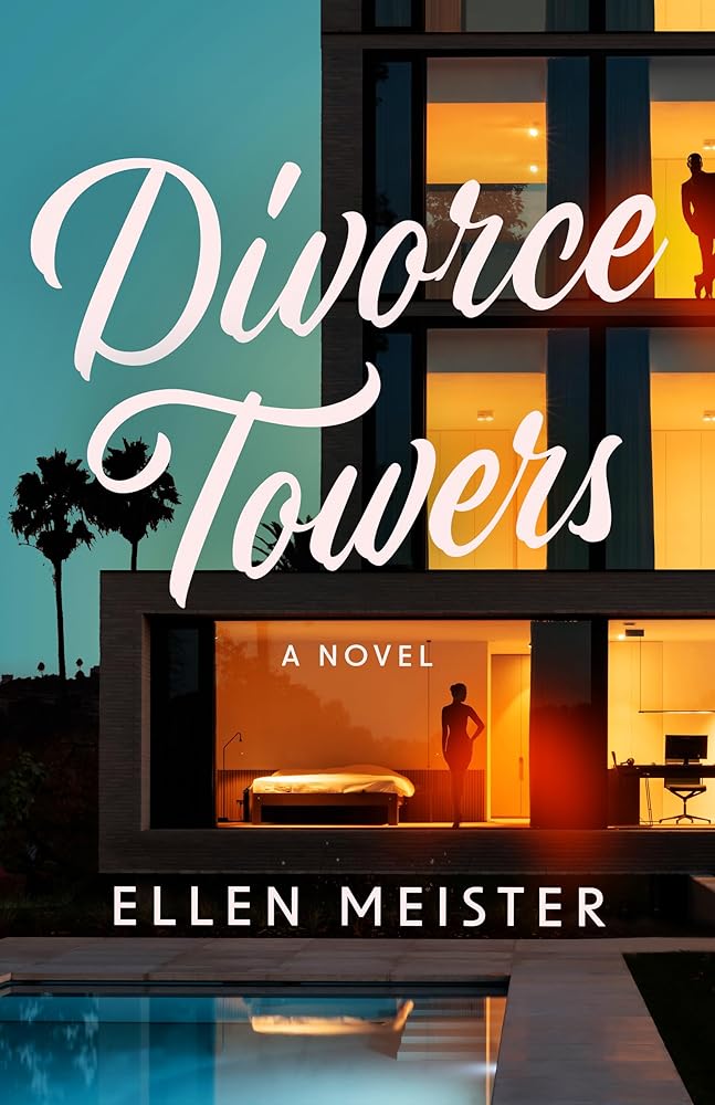 Divorce Towers: A Novel cover image