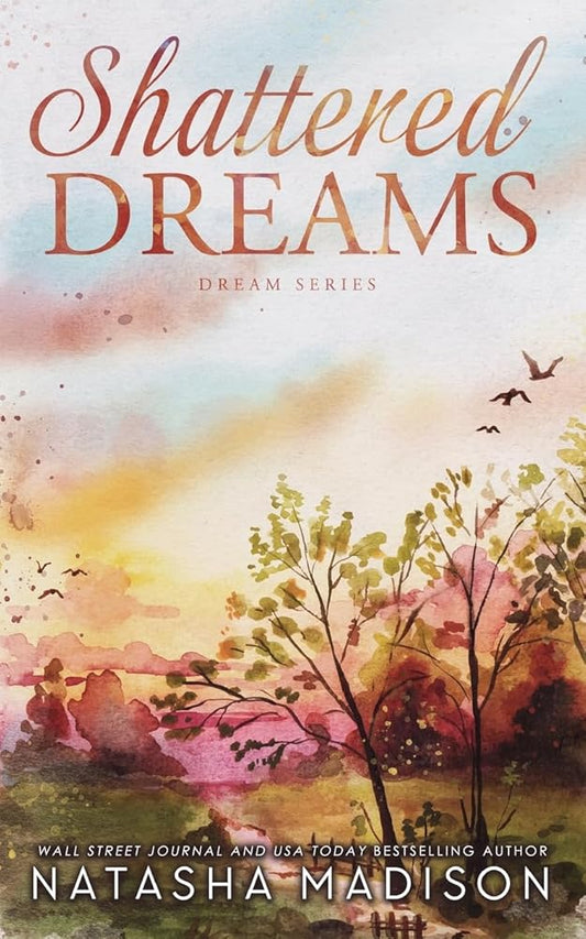 Shattered Dreams (Dreams Series Book 1) cover image