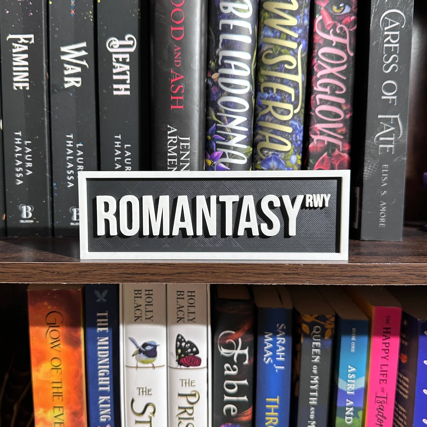 Romantasy Street Sign | Bookshelf Decor