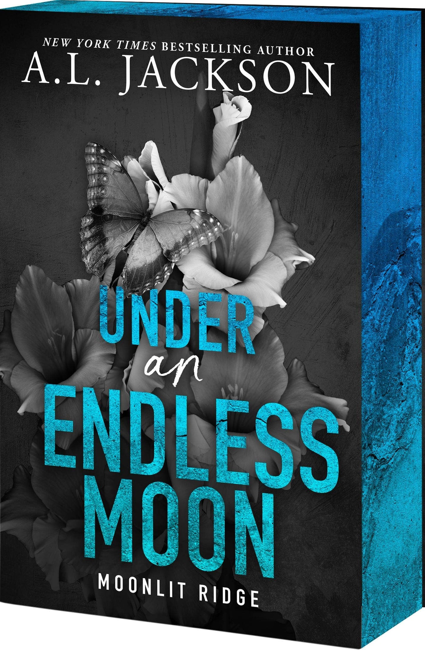 Under An Endless Moon