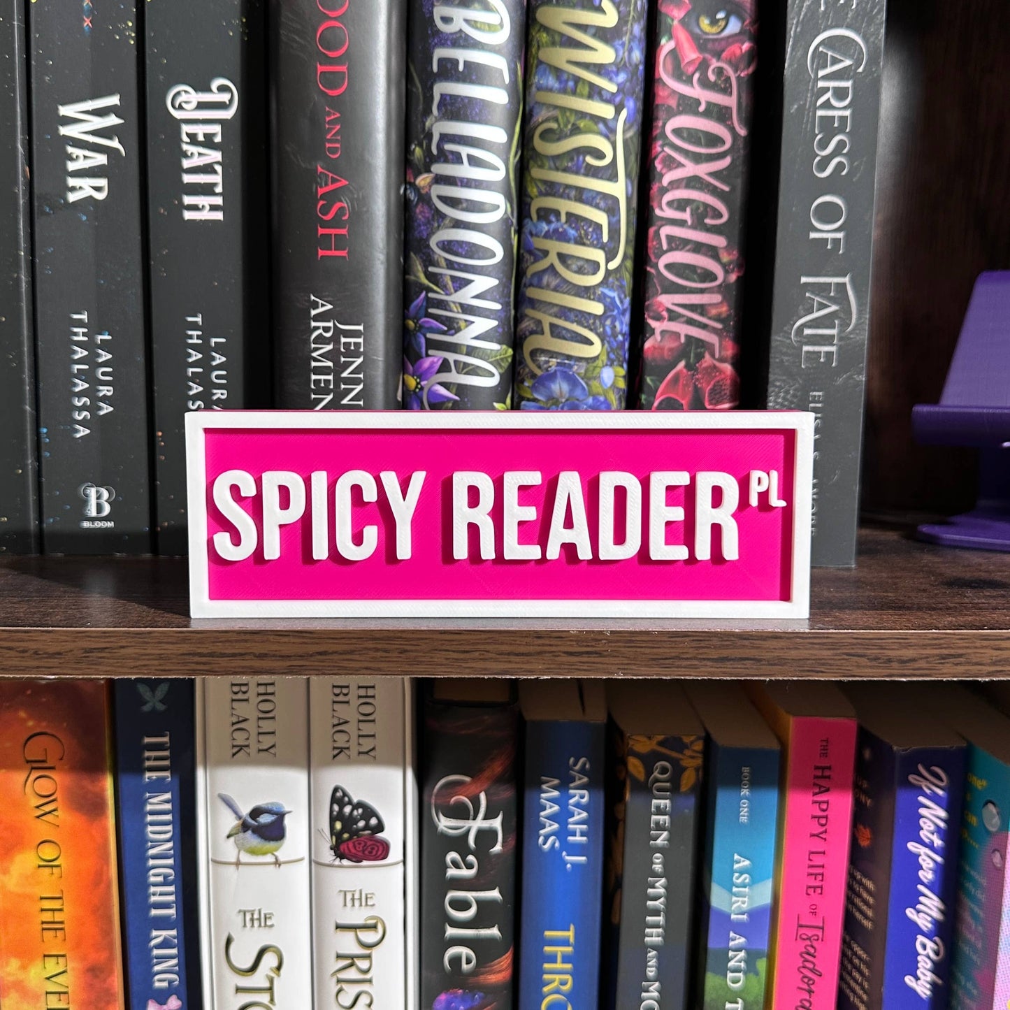 Spicy Reader Street Sign | Bookshelf Decor